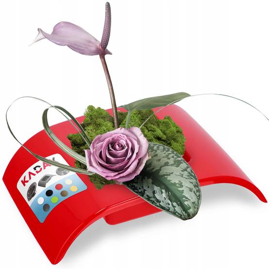Cache Pot De Fleurs Composition Couleurs Ikebana - Image 3