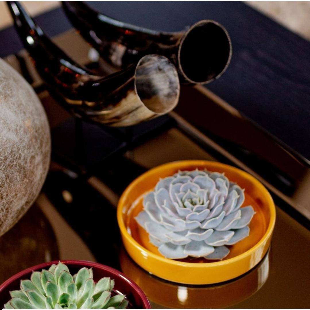 Echeveria Pulidonis Sans Racines - Collectionneur de Dessus de Table- La Green Touch - Image 2