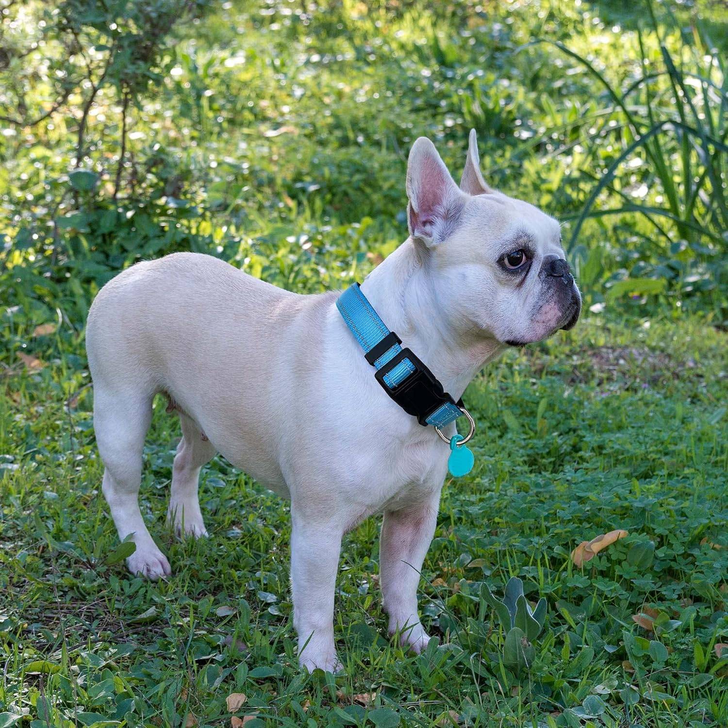 Collier réfléchissant pour chien, doux, respirant, réglable, pour chiens (taille M (1 pack), collier bleu vif + laisse).-Lytech - Image 5