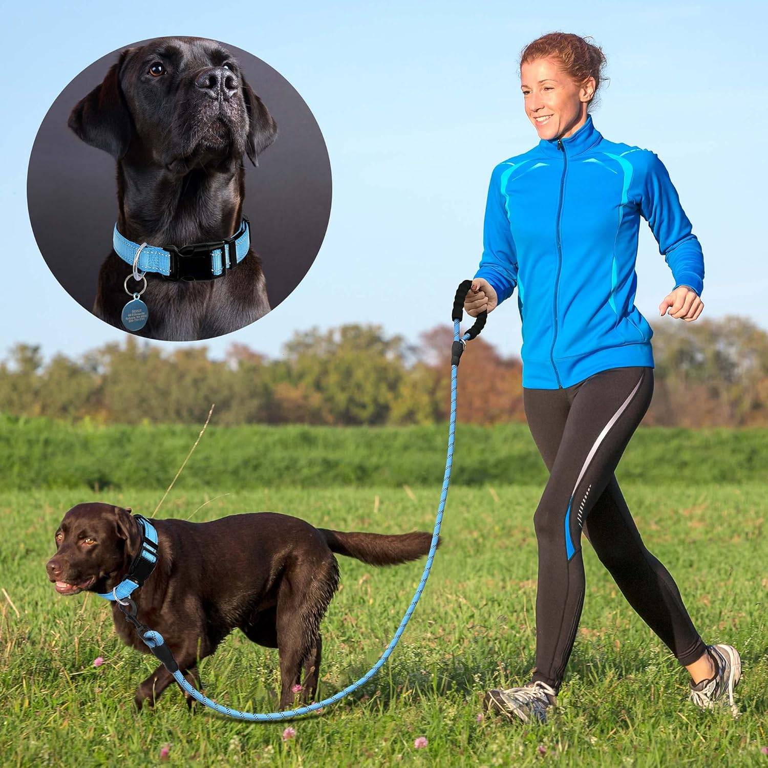 Collier réfléchissant pour chien, doux, respirant, réglable, pour chiens (taille M (1 pack), collier bleu vif + laisse).-Lytech - Image 4