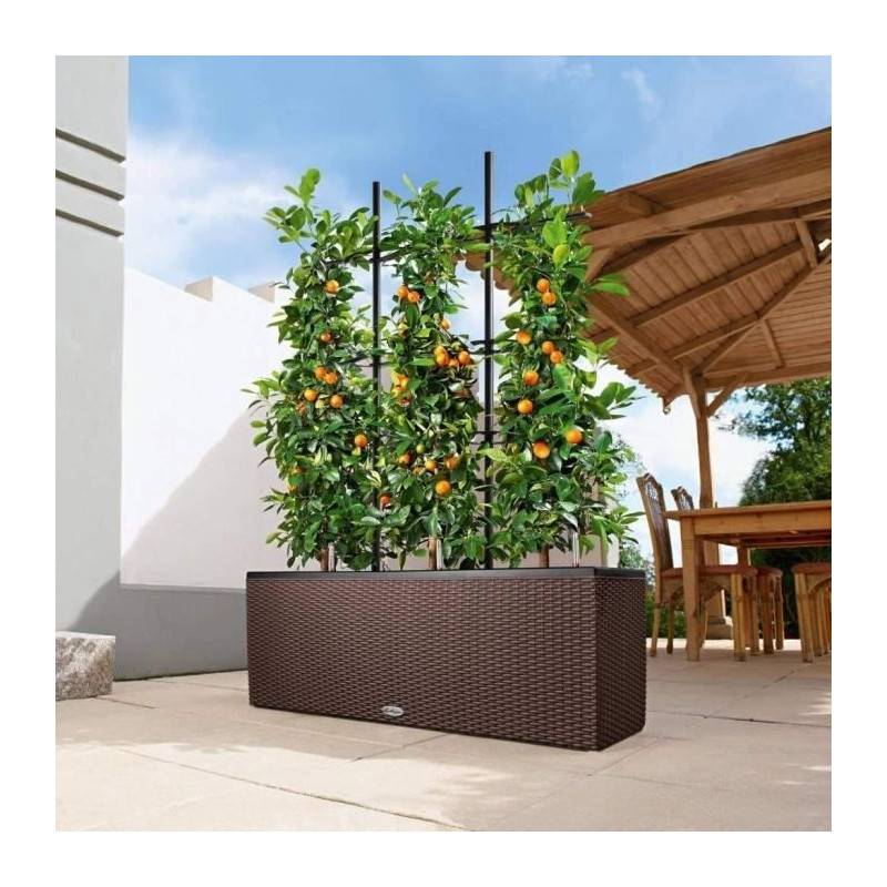Lechuza - Pot De Fleur Lechuza Trio Cottage 30 - Kit Complet, Moka - Image 3