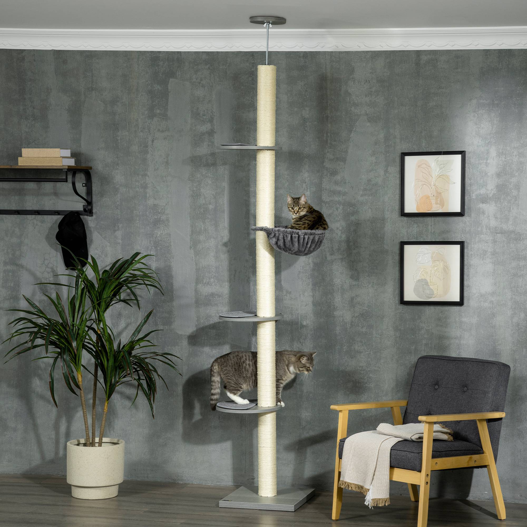 Sans Marque - Arbre à chat avec hamac, incluant un tendeur de plafond, hauteur plafond, 40 cm x 40 cm x 250 cm, gris et blanc crème