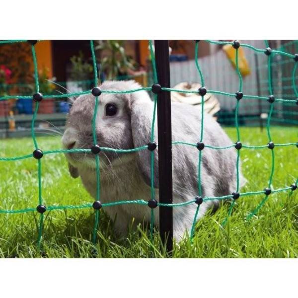 KERBL - Filet de protection lapin - 25 m - 65 cm - Double pointe - Vert - Image 3