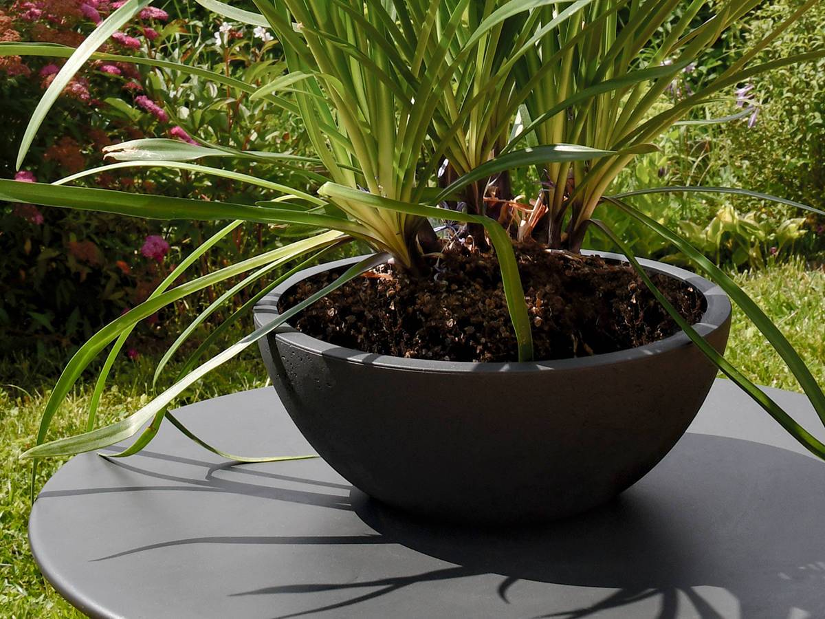 Eda - Pot de fleurs vasque Basalt Up Ø 29 x 12 cm - 5,5 L - Gris anthracite - Eda - Image 2