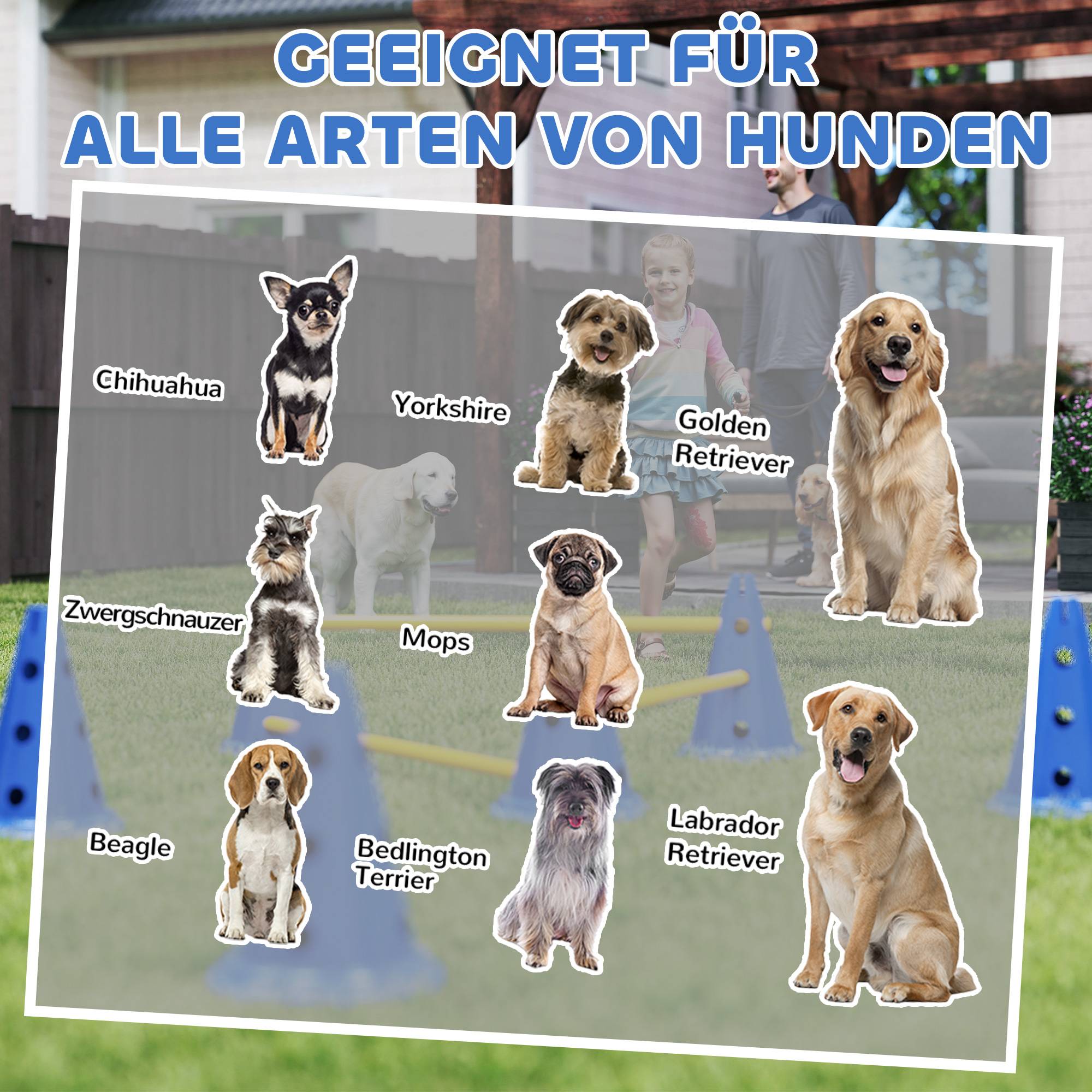 ComfortXL - Haies agilité chien ABS 3 pièces 80 x 22,5 x 30 cm hauteur réglable entraînement - ComfortXL Outdoor Living - Image 10