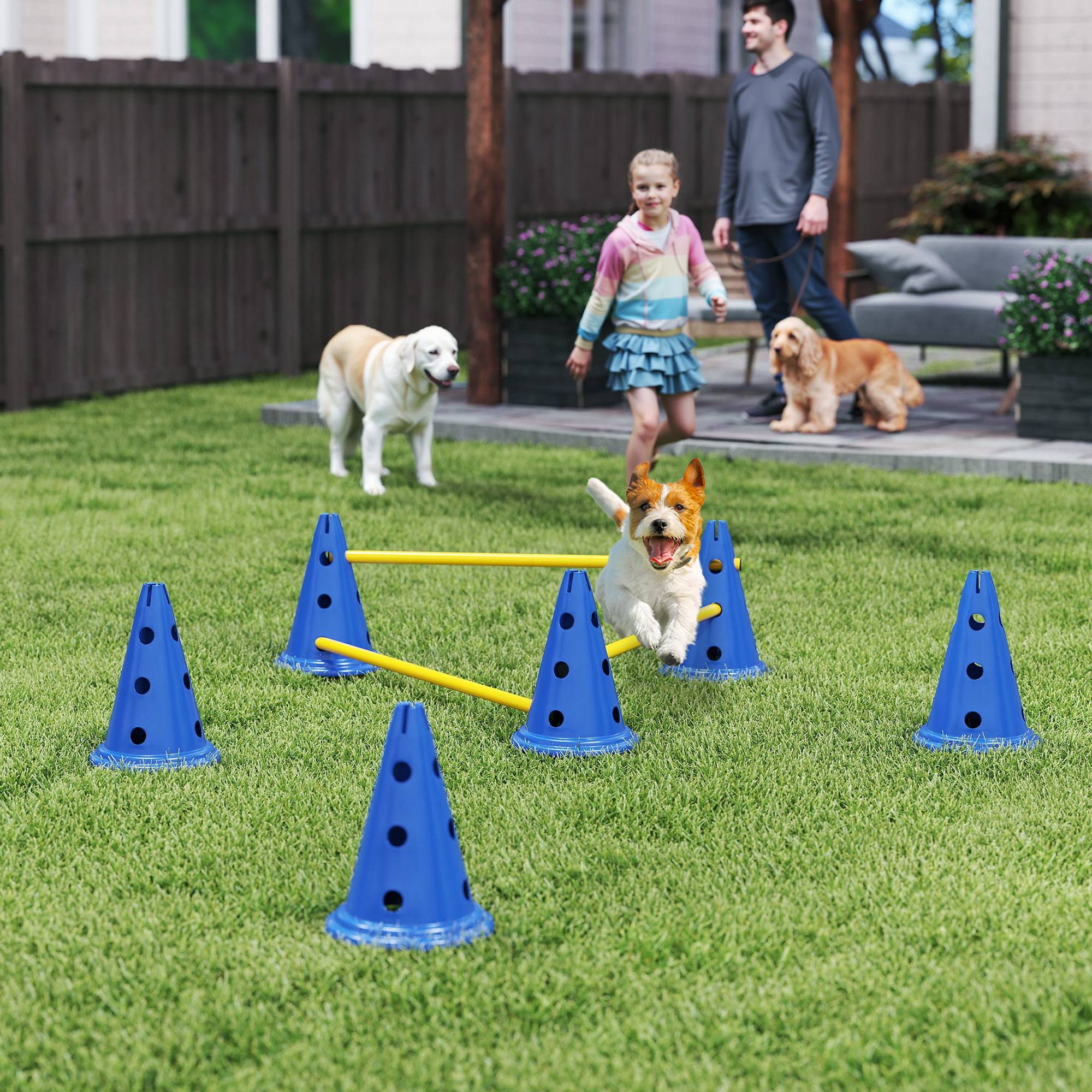ComfortXL - Haies agilité chien ABS 3 pièces 80 x 22,5 x 30 cm hauteur réglable entraînement - ComfortXL Outdoor Living - Image 3