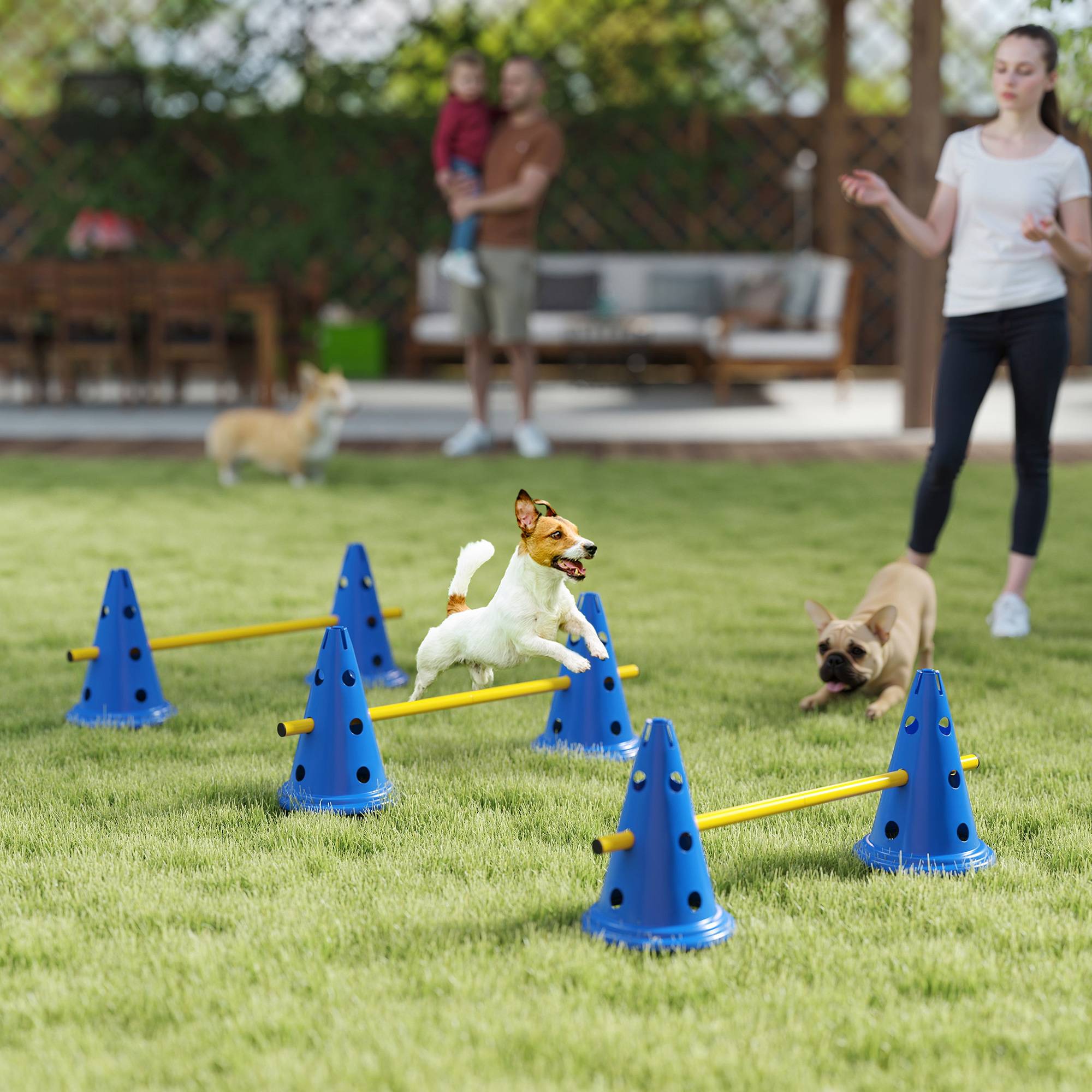 ComfortXL - Haies agilité chien ABS 3 pièces 80 x 22,5 x 30 cm hauteur réglable entraînement - ComfortXL Outdoor Living - Image 4