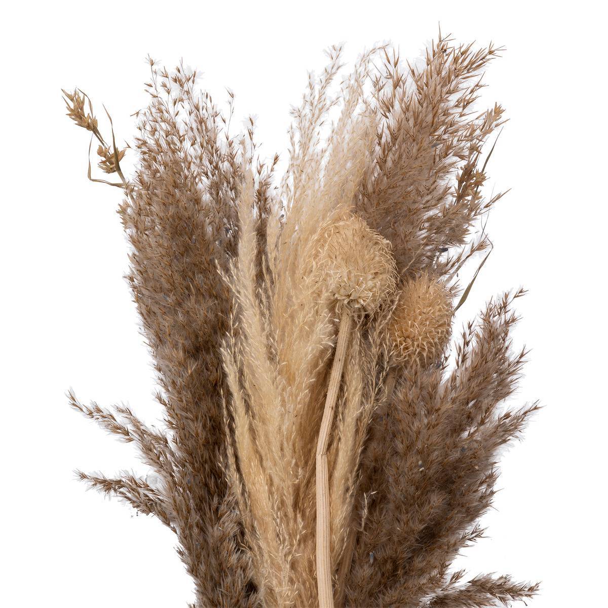 Atmosphera - Bouquet de pampas séchées "Ori" blanc ivoire H58cm - Atmosphera Créateur d'intérieur - Image 2
