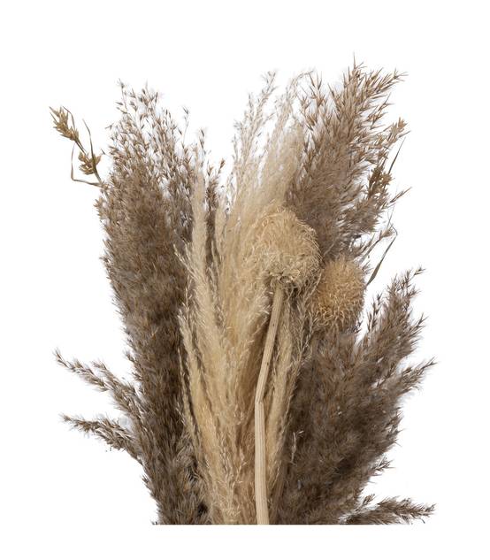 Bouquet de Pampas naturelles et séchées D. 18 x H. 58 cm - Image 2