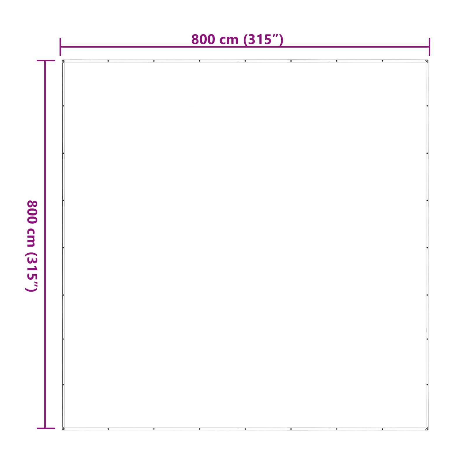 Vidaxl - Couverture pour plantes 8 x 8 m PE Transparent vidaXL 3429292 - Image 3