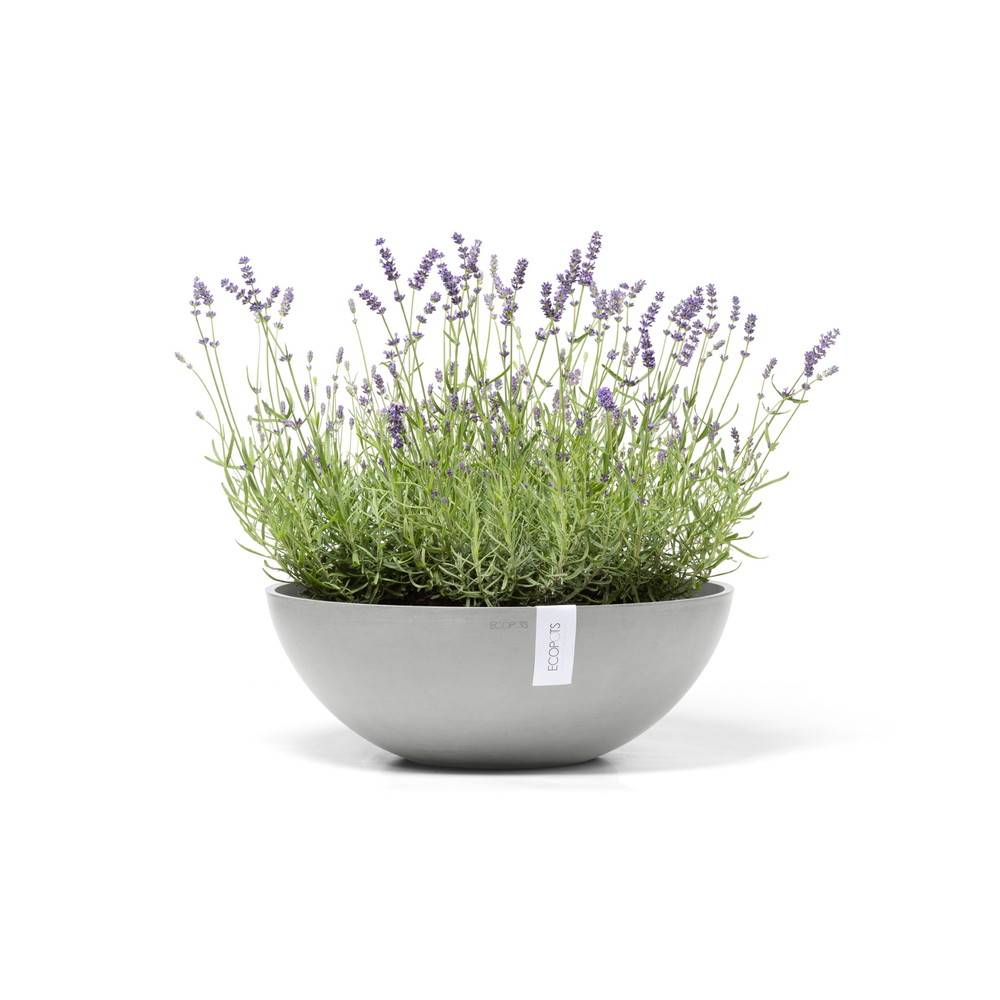 Ecopots - Pot Rond Vienna 50 Blanc Gris - Ø 50 x H. 18 cm - 22,3 L ECOPOTS - Image 2