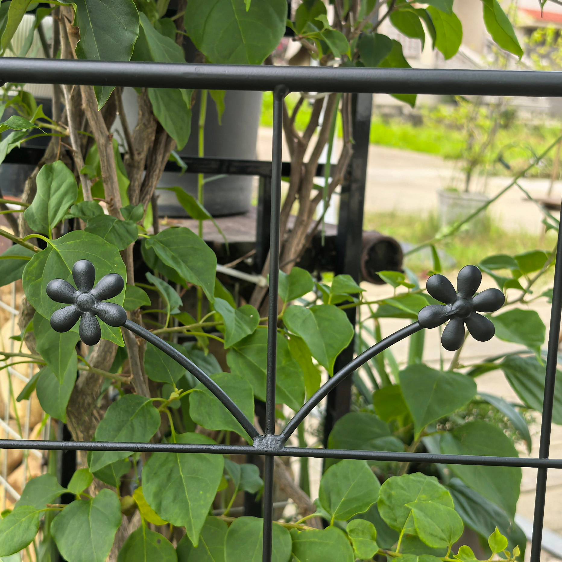 Lot de 2 Treillis Jardin Métal Noir pour Plantes Grimpantes Support Rosiers Légumes 50x180cm - ComfortXL Outdoor Living - Image 6
