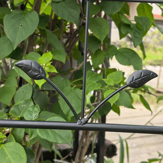 Lot de 2 Treillis Jardin Métal Noir pour Plantes Grimpantes Support Rosiers Légumes 50x180cm - ComfortXL Outdoor Living - Image 7