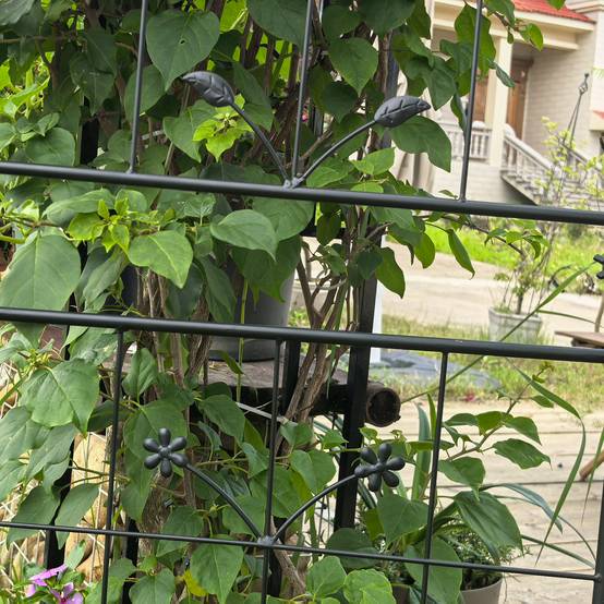 Lot de 2 Treillis Jardin Métal Noir pour Plantes Grimpantes Support Rosiers Légumes 50x180cm - ComfortXL Outdoor Living - Image 8