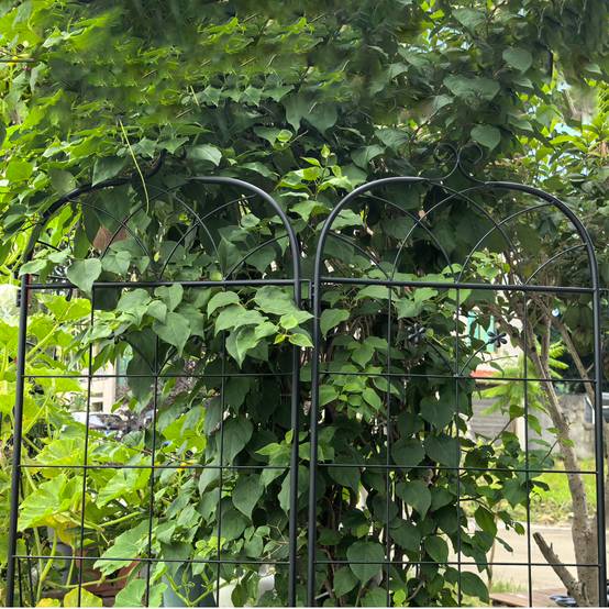 Lot de 2 Treillis Jardin Métal Noir pour Plantes Grimpantes Support Rosiers Légumes 50x180cm - ComfortXL Outdoor Living - Image 4