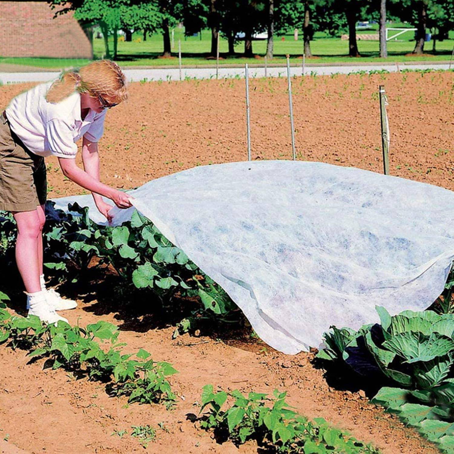 Couverture végétale non tissée antigel - Toile de protection pour plantes potagères d'hiver - Couverture froide Couverture froide - 3m * 4m - blanc - Image 4