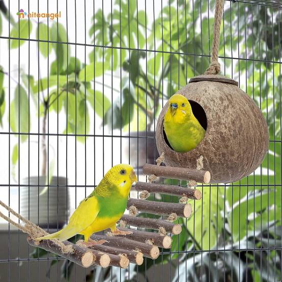 Nid et jouet pour oiseaux et hamsters avec échelle - Image 2