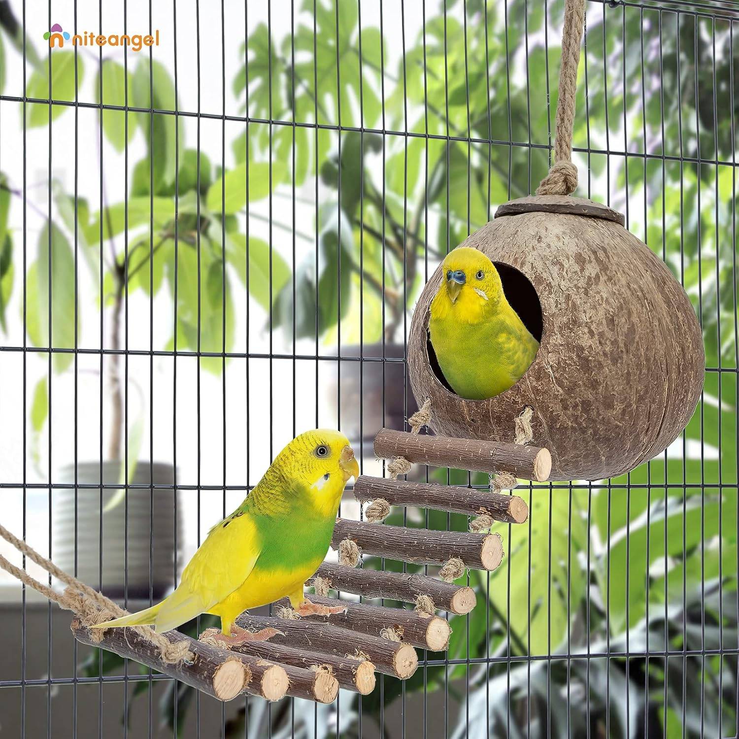 Nid et jouet pour oiseaux et hamsters avec échelle - Image 2