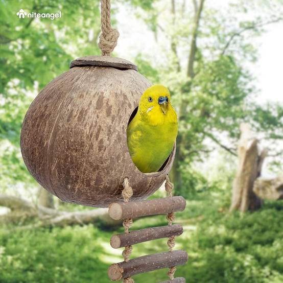 Nid et jouet pour oiseaux et hamsters avec échelle - Image 5