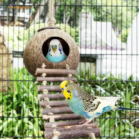 Nid et jouet pour oiseaux et hamsters avec échelle - Image 3