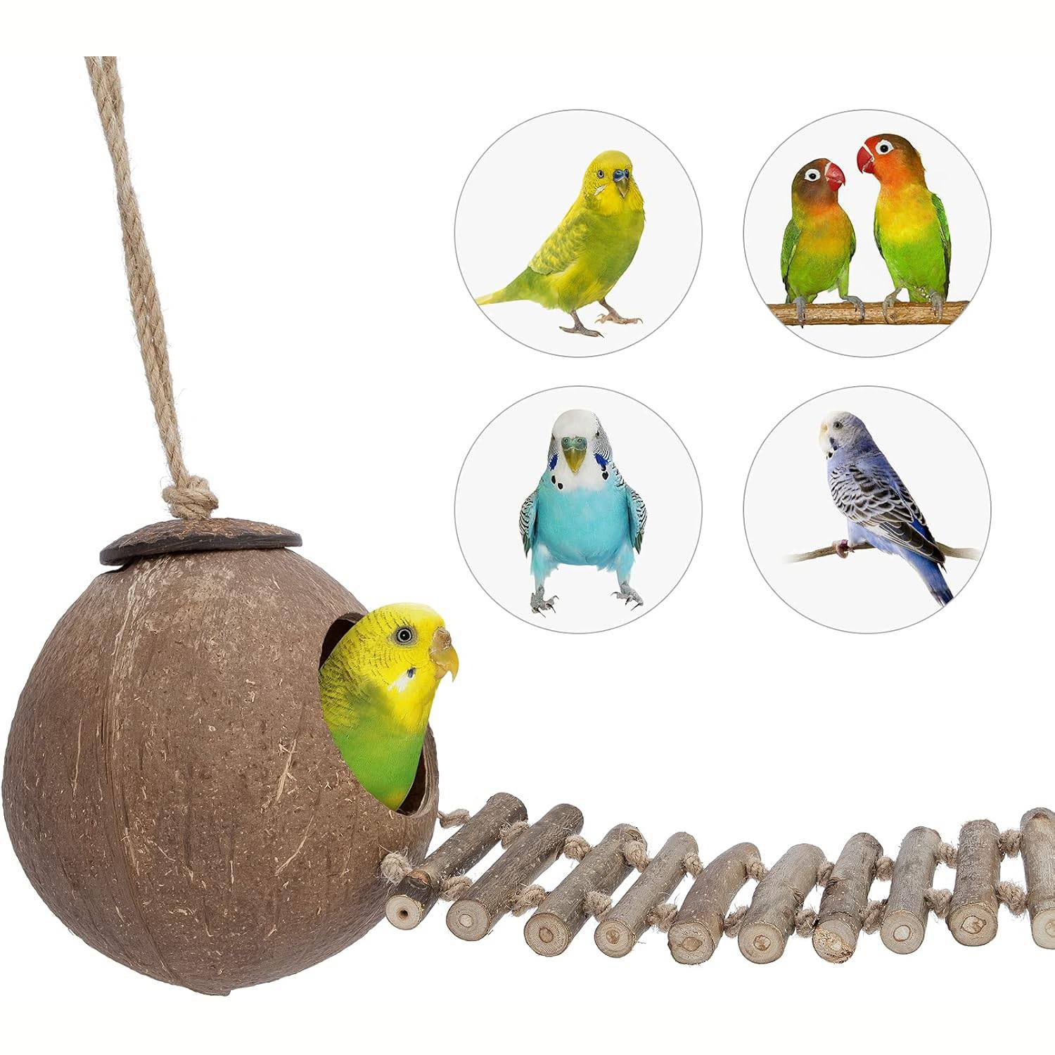 Nid et jouet pour oiseaux et hamsters avec échelle - Image 4