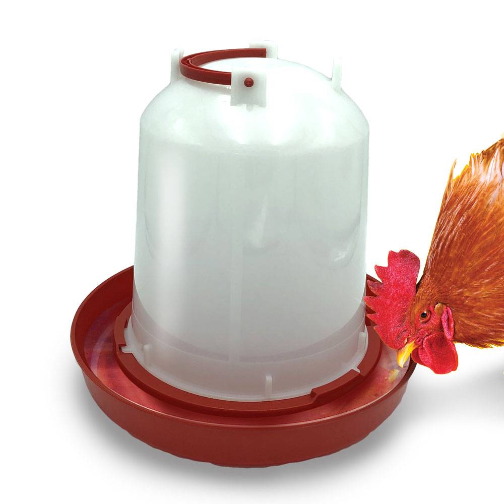 Abreuvoir poules 6 litres - Image 3