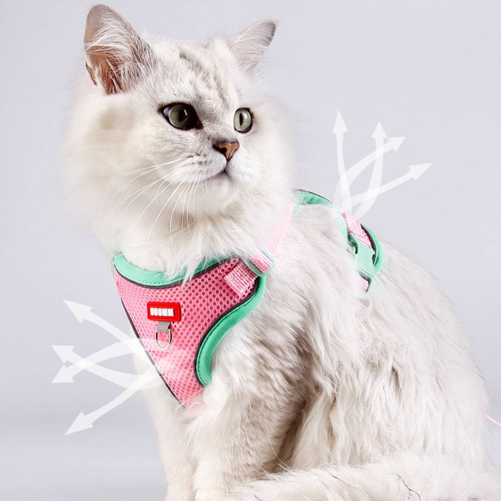 Harnais avec laisse pour chat l - IntiMeg - Image 2