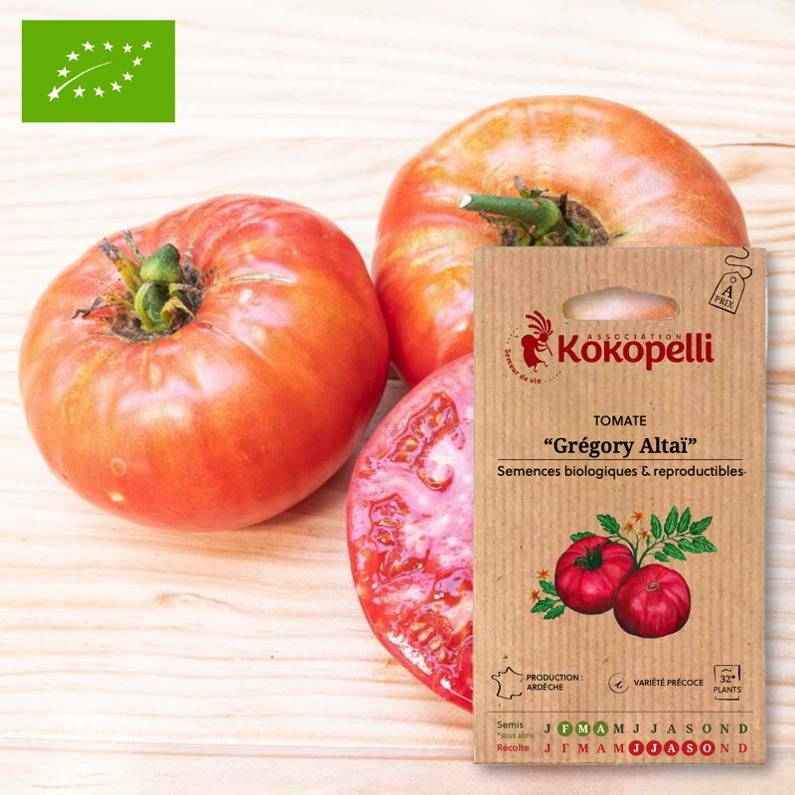 Association Kokopelli - Tomate Grégory Altaï- Graines bio à semer - Image 1