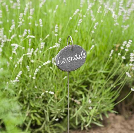 Lot de 3 étiquettes pour plantes en ardoise - Image 2