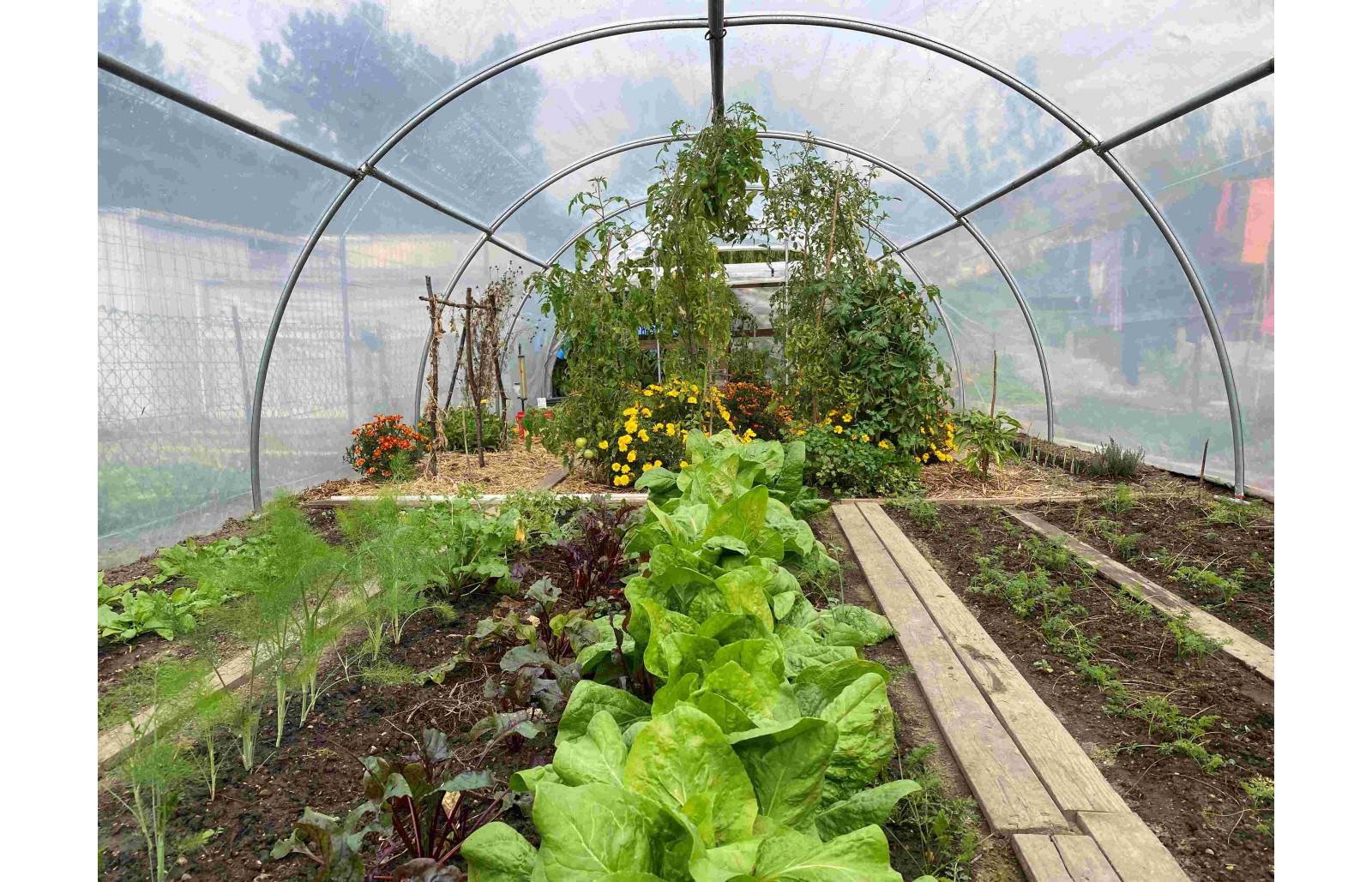 Serre tunnel de jardin - 40m² - 4 x 10 m - Abri Légumes - pieds arrondis - polyéthylène haute densité - 2 portes pivotantes - LES SERRES TONNEAU - Image 6