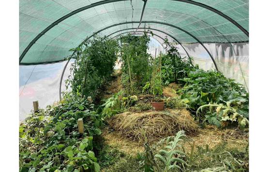 Serre tunnel de jardin - 40m² - 4 x 10 m - Abri Légumes - pieds arrondis - polyéthylène haute densité - 2 portes pivotantes - LES SERRES TONNEAU - Image 9