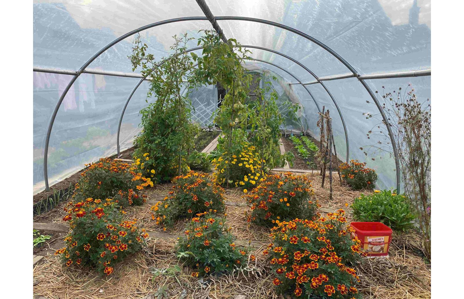 Serre tunnel de jardin - 40m² - 4 x 10 m - Abri Légumes - pieds arrondis - polyéthylène haute densité - 2 portes pivotantes - LES SERRES TONNEAU - Image 5
