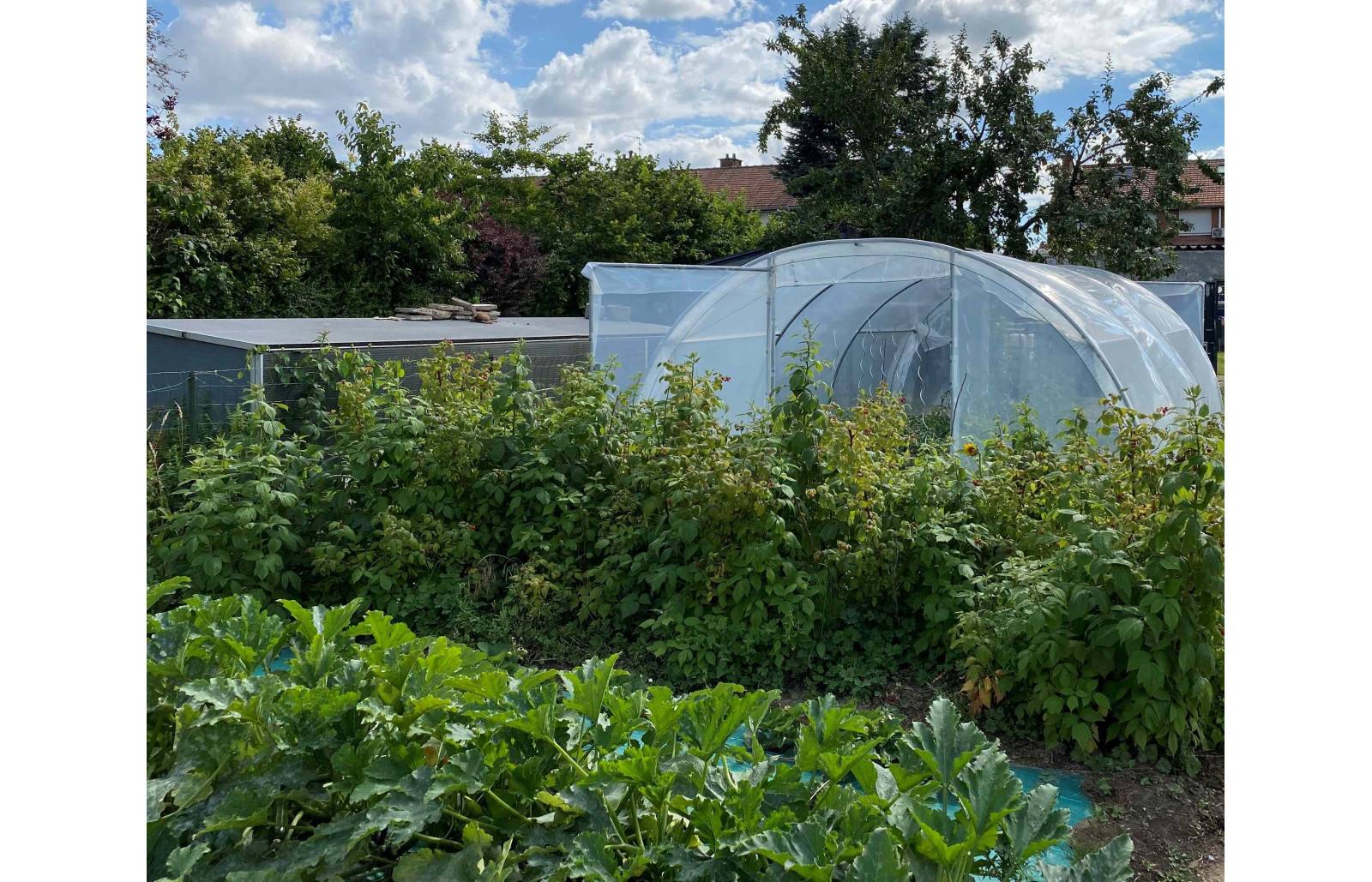 Serre tunnel de jardin - 40m² - 4 x 10 m - Abri Légumes - pieds arrondis - polyéthylène haute densité - 2 portes pivotantes - LES SERRES TONNEAU - Image 10