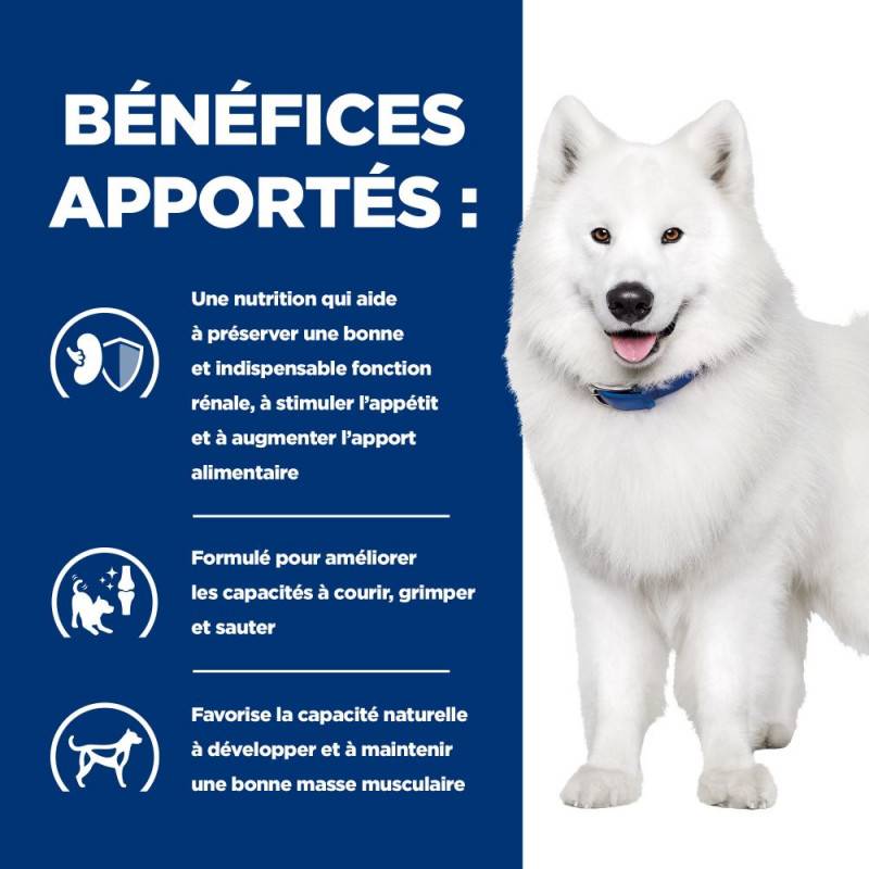 CROQUETTES CHIEN ADULT PRESCRIPTION DIETS K/D KIDNEY + MOBILITY - HILL'S 12 kg - Image 4