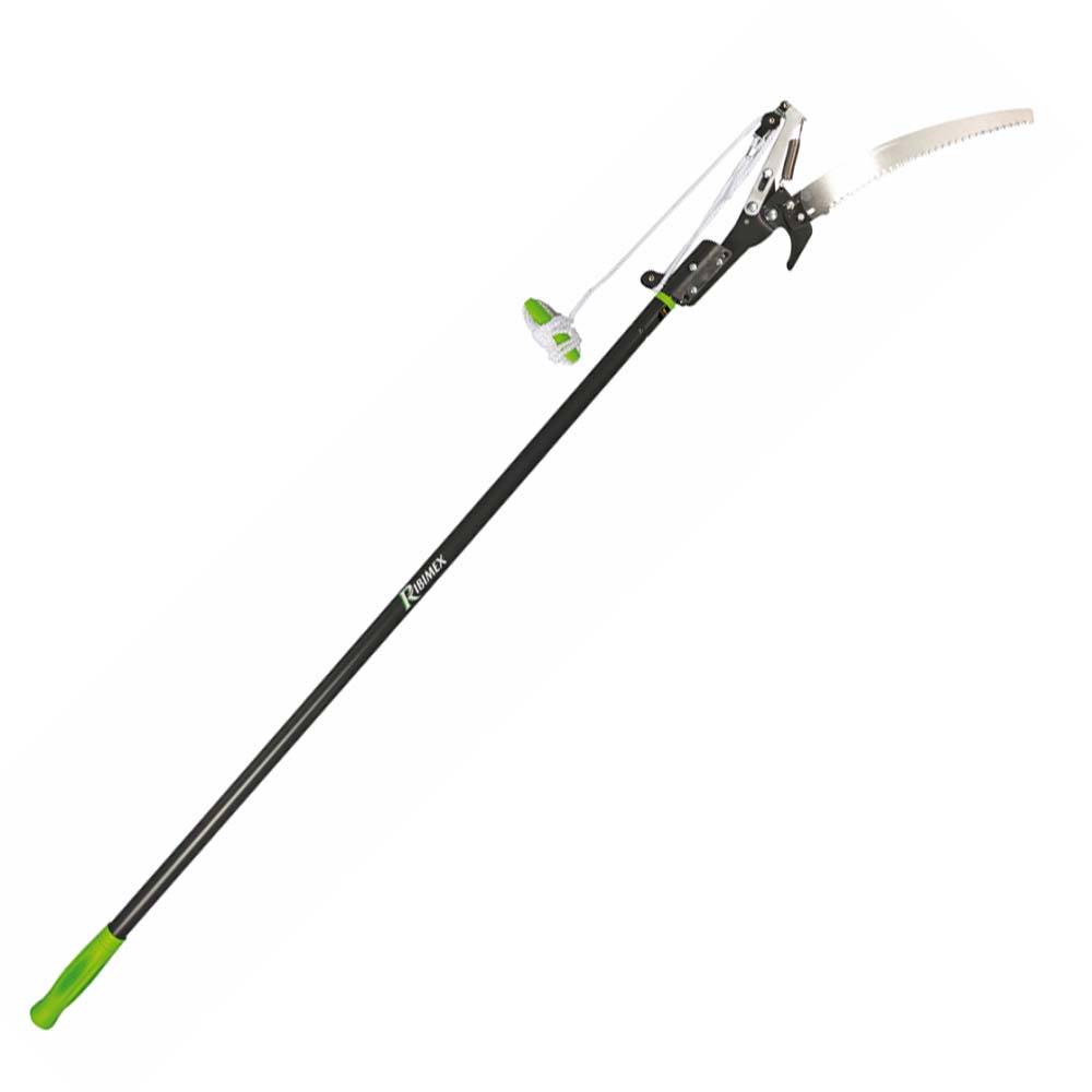 Ribimex - Echenilloir avec manche télescopique 2.41 m