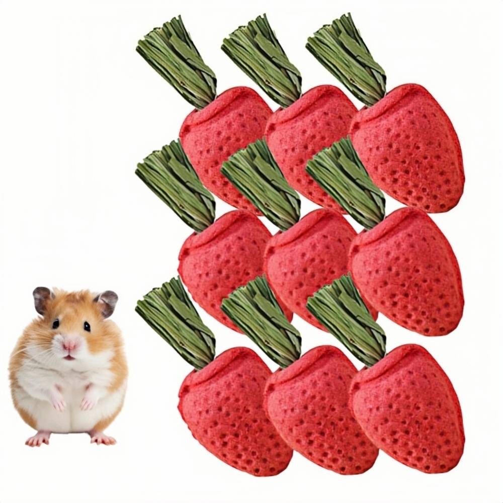 DtopbuyAge - Jouets à mâcher pour hamster et chinchilla DtopbuyAge - Image 1