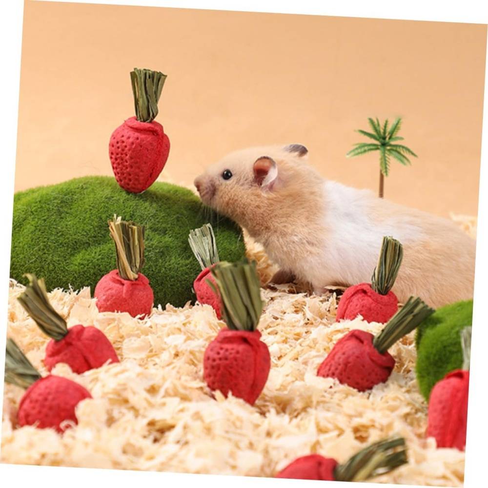 DtopbuyAge - Jouets à mâcher pour hamster et chinchilla DtopbuyAge - Image 4