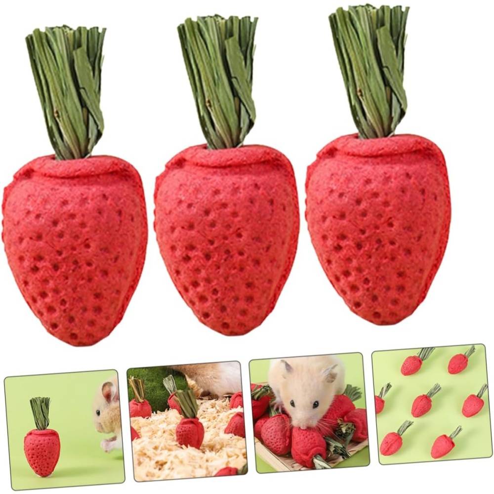 DtopbuyAge - Jouets à mâcher pour hamster et chinchilla DtopbuyAge - Image 3
