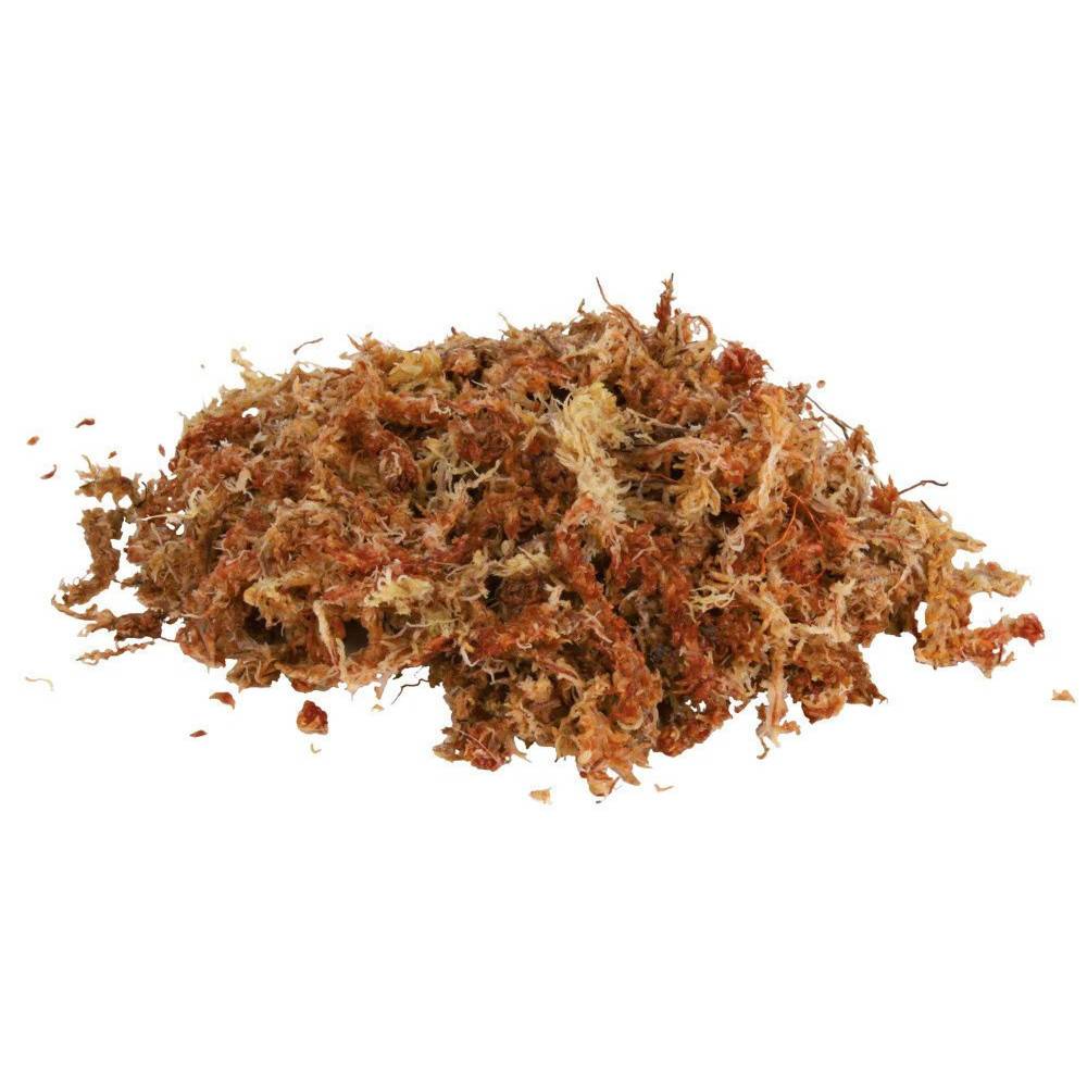 Trixie - Sphaigne mousse de shagnum 100 g 4.5 Litres reptile - Image 4