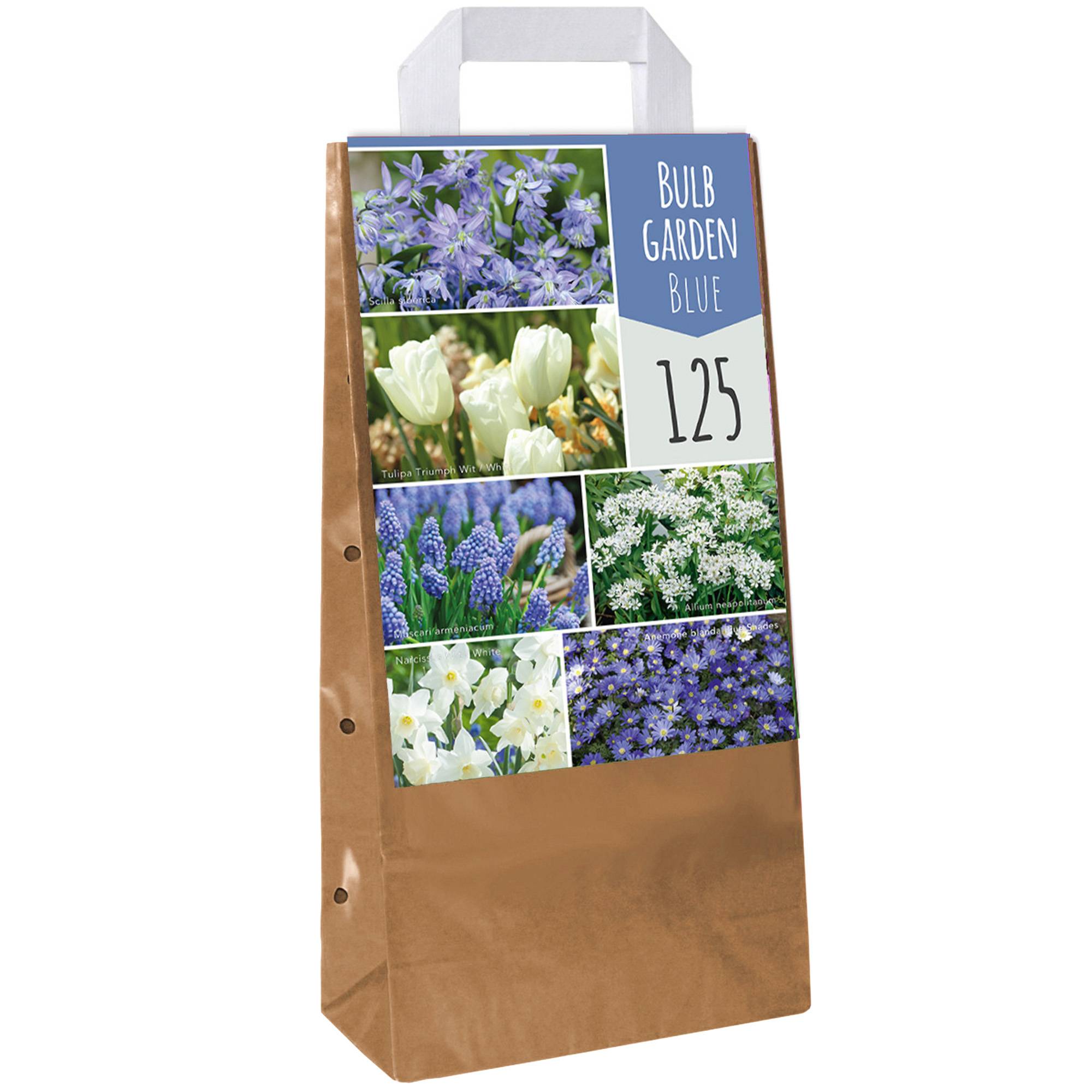 Gardenersdream - Jardin de Bulbes Bleu - Tulipe Muscari Anémone Scille Narcisse Allium Bulbes à Fleurs (125 Bulbes) - Image 1