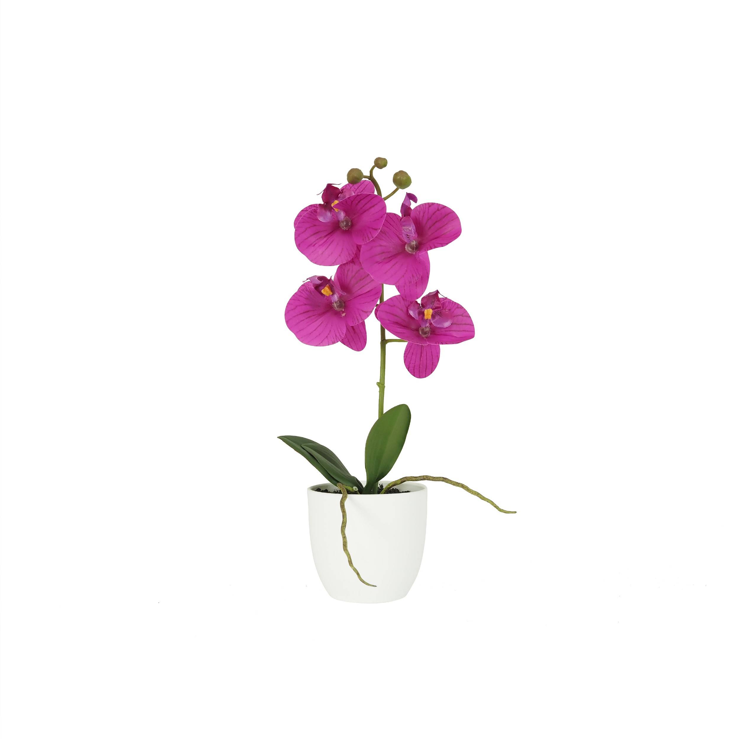 Ligne Deco - Orchidée artificielle fuchsia 35cm Ligne Déco - Image 2