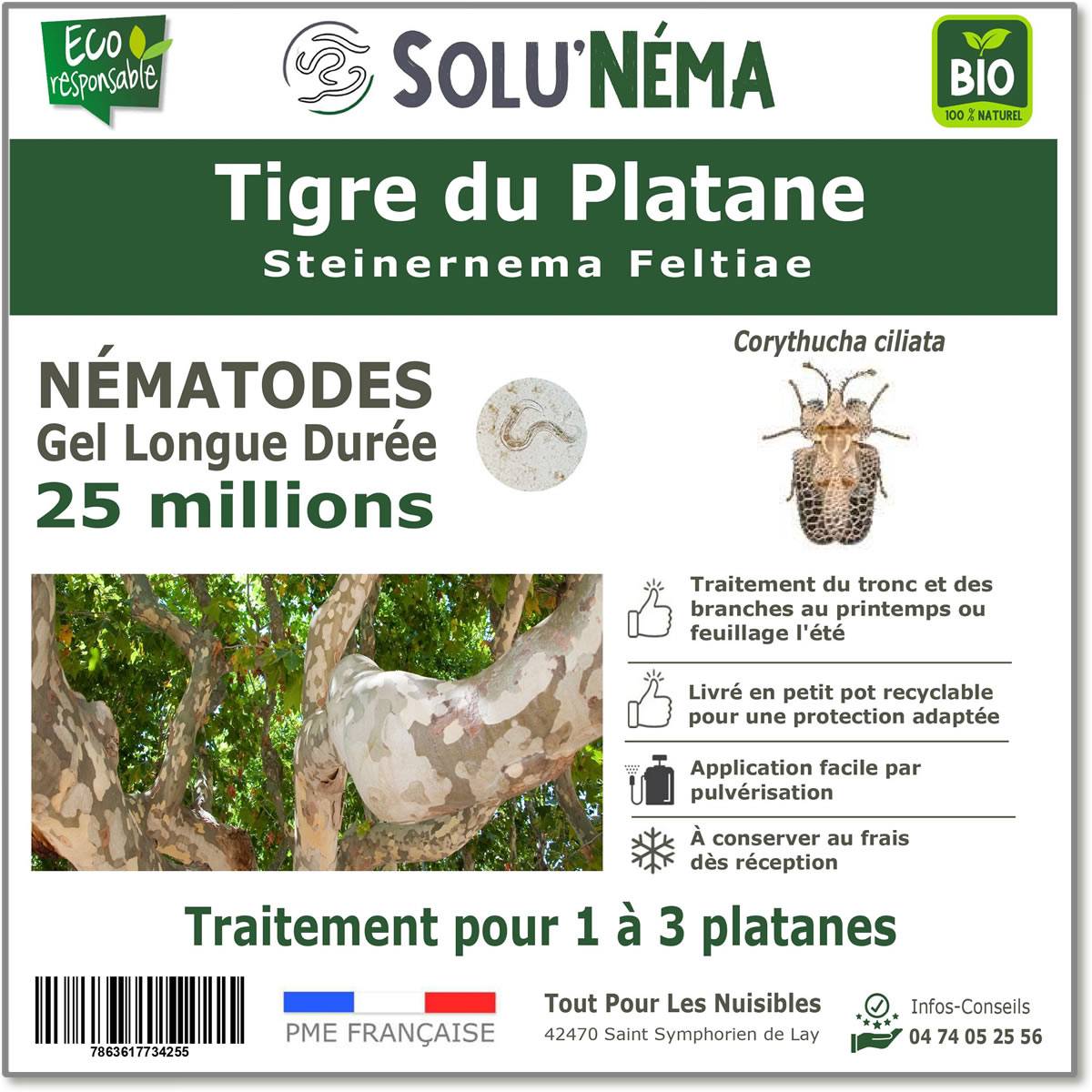 Solunéma - Tigre du Platane - Traitement à base de nématodes Steinernema Feltiae (SF) - 25 millions - Image 1