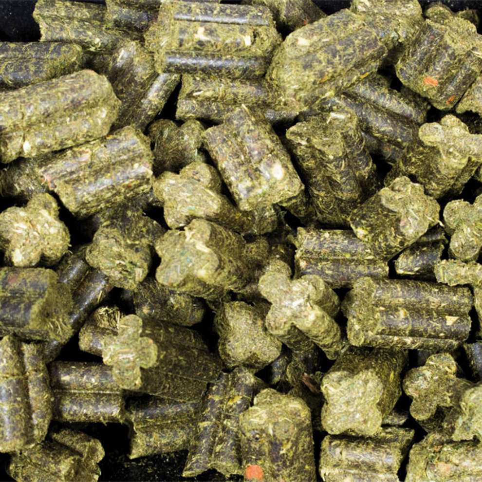 Bubimex - Granulés Grainless Complete pour lapins adultes - Image 2