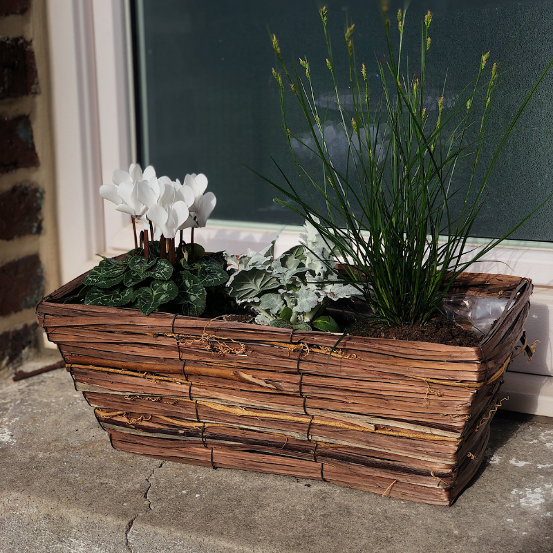 Aubry Gaspard - Jardinière osier et bois 40cm - Aubry Gaspard - Image 2