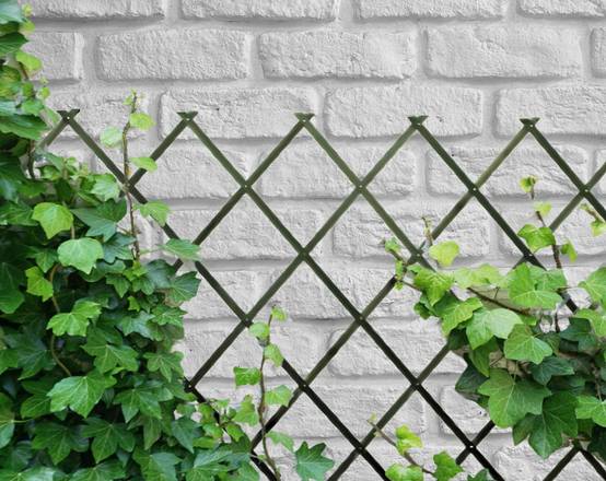Treillis Bois| Vert| 100% Bois Pin| 0,5X1,5M| Gardien Des Plantes| Résistant| Decoration Jardin - Image 9