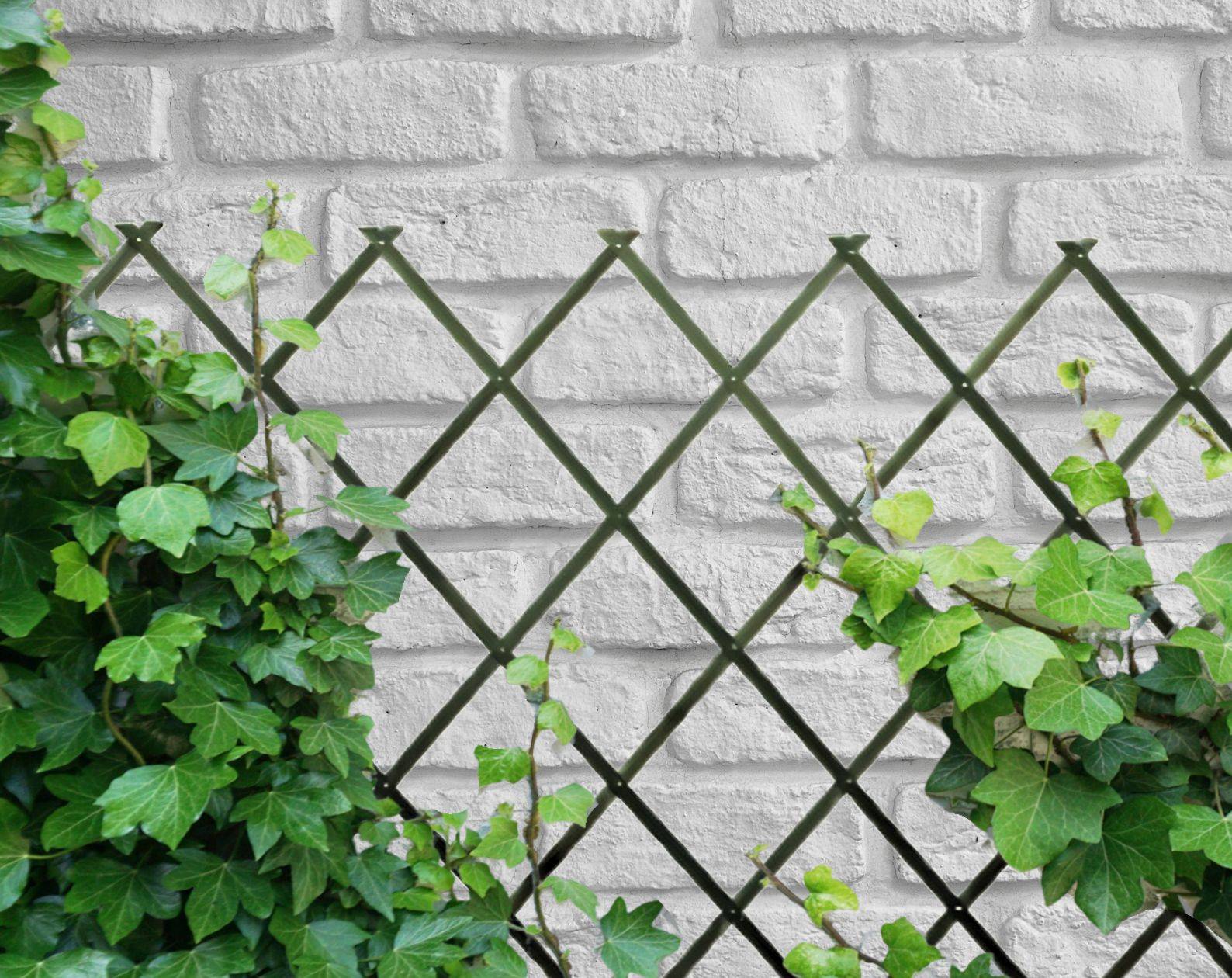 Treillis Bois| Vert| 100% Bois Pin| 0,5X1,5M| Gardien Des Plantes| Résistant| Decoration Jardin - Image 9