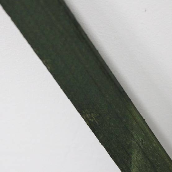 Treillis Bois| Vert| 100% Bois Pin| 0,5X1,5M| Gardien Des Plantes| Résistant| Decoration Jardin - Image 7