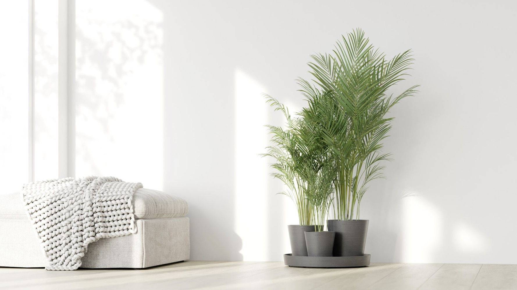 Ecopots - Ensemble de 3 pots Dubai Gris - Ø 57 x H. 30 cm - support à roulettes ECOPOTS - Image 3