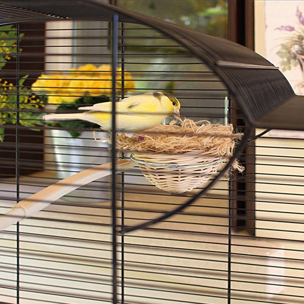 Ferplast - Ferplast Cage pour Canaris et Oiseaux Exotiques CANTO, Petite Cage de Reproduction avec Séparation et Accessoires - Image 5