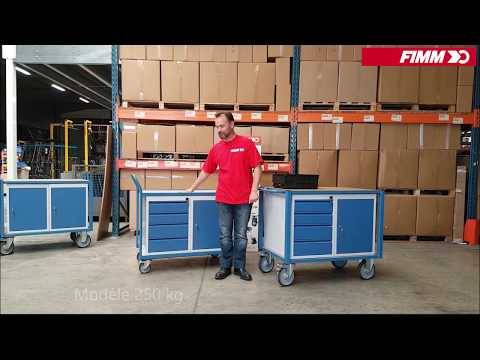 Servante d'atelier équipée 2 blocs tiroirs 500 kg - FIMM - 880002990 - Image 2